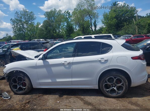 ZASPAKBN3M7D00734 2021 ALFA ROMEO STELVIO White Սալոնի 360 աստիճան տեսք