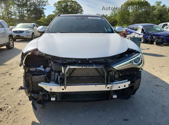 ZASPAKBN3P7D58962 2023 ALFA ROMEO STELVIO White Вид спереду