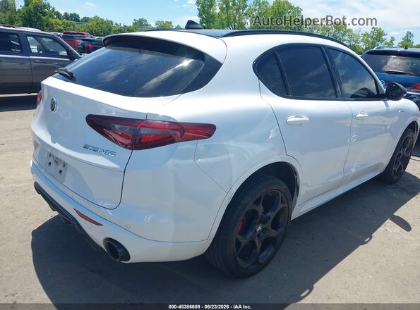 ZASPAKBN3P7D66298 2023 ALFA ROMEO STELVIO White უკანა მარჯვენა