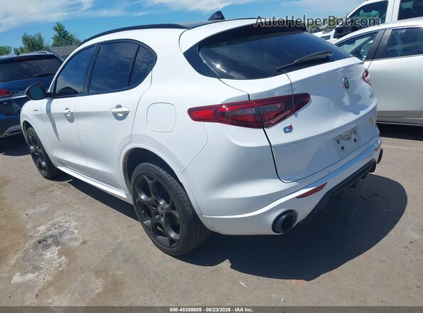 ZASPAKBN3P7D66298 2023 ALFA ROMEO STELVIO White უკანა მარცხენა