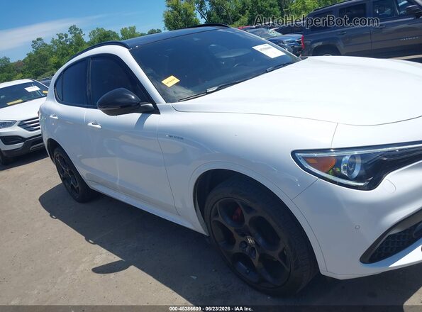 ZASPAKBN3P7D66298 2023 ALFA ROMEO STELVIO White უკანა სალონის ხედი