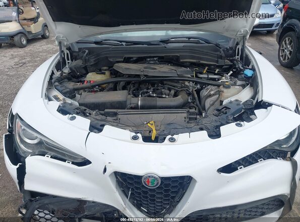 ZASPAKBN6L7C92398 2020 ALFA ROMEO STELVIO White Rear view