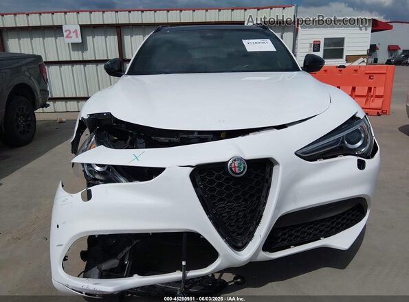 ZASPAKBN7P7D63517 2023 ALFA ROMEO STELVIO White Вид задньої частини салону