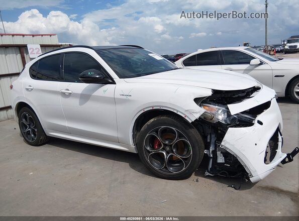 ZASPAKBN7P7D63517 2023 ALFA ROMEO STELVIO White Панорамний вид салону 360°