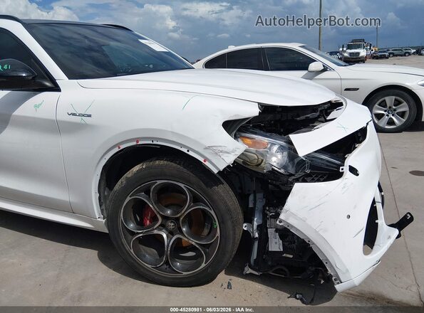 ZASPAKBN7P7D63517 2023 ALFA ROMEO STELVIO White 