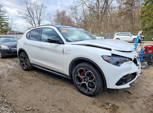 ZASPAKBN9R7D77972 2024 ALFA ROMEO STELVIO White 