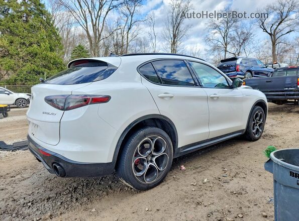ZASPAKBN9R7D77972 2024 ALFA ROMEO STELVIO White 