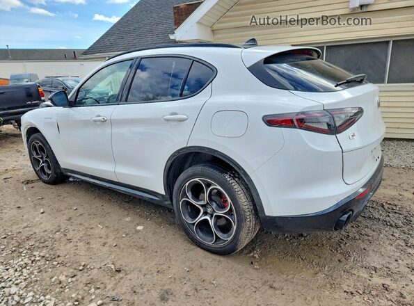 ZASPAKBN9R7D77972 2024 ALFA ROMEO STELVIO White 