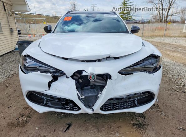 ZASPAKBN9R7D77972 2024 ALFA ROMEO STELVIO White 