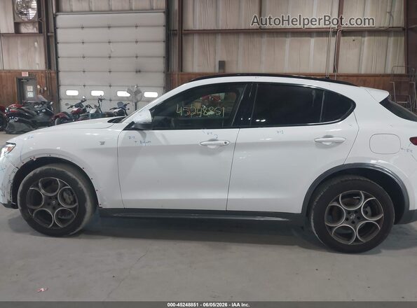 ZASPAKBNXP7D57632 2023 ALFA ROMEO STELVIO White 
