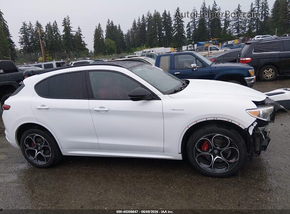 ZASPAKBNXP7D65276 2023 ALFA ROMEO STELVIO White 360 interior view