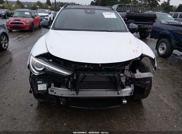 ZASPAKBNXP7D65276 2023 ALFA ROMEO STELVIO White Front view