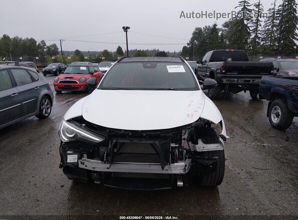 ZASPAKBNXP7D65276 2023 ALFA ROMEO STELVIO White Rear interior view