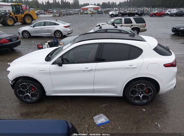 ZASPAKBNXP7D65276 2023 ALFA ROMEO STELVIO White 