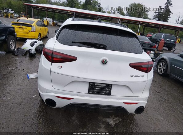 ZASPAKBNXP7D65276 2023 ALFA ROMEO STELVIO White 
