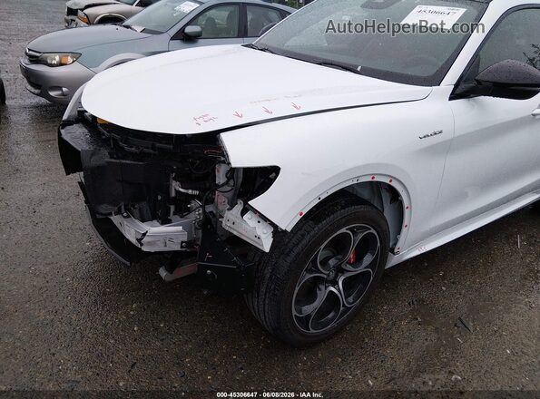 ZASPAKBNXP7D65276 2023 ALFA ROMEO STELVIO White 