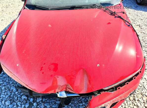 ZASPATCWXR3031642 2024 ALFA ROMEO OTHER Red Շարժիչի բաժամունքի տեսք