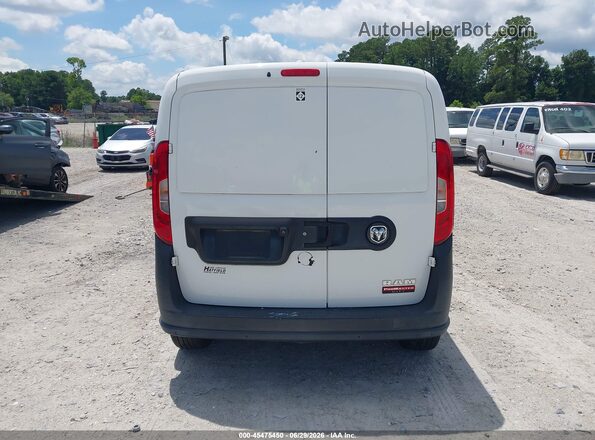 ZFBERFAB5H6E17465 2017 RAM PROMASTER CITY Белый 