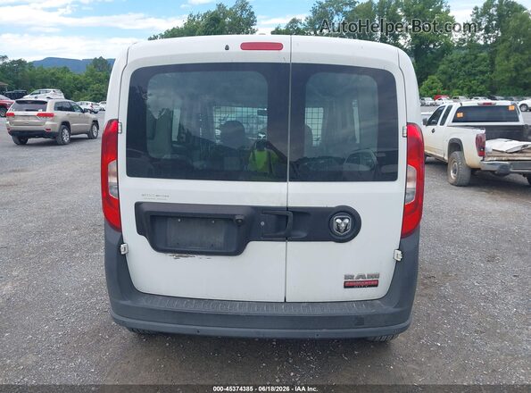 ZFBERFAB5H6G49905 2017 RAM PROMASTER CITY Белый 