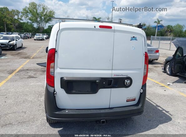 ZFBERFAB7H6H03236 2017 RAM PROMASTER CITY Белый 