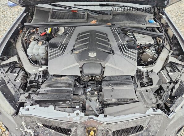ZPBUA1ZL1MLA11782 2021 LAMBORGHINI URUS Серый Вид задней части салона
