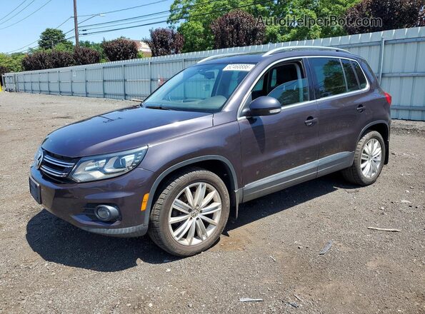 WVGBV7AX9GW566059 2016 VOLKSWAGEN TIGUAN Gray Задня ліва чверть