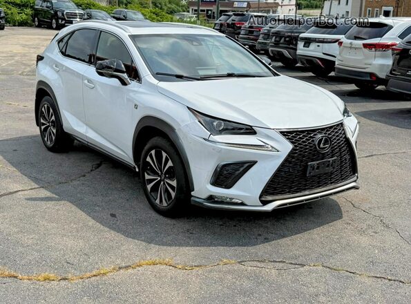JTJSARDZ1L5006364 2020 LEXUS NX White Widok z przodu