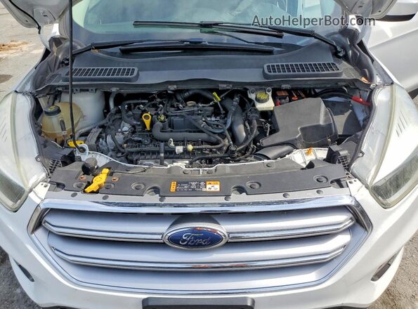 1FMCU9GD9HUB05781 2017 FORD ESCAPE White Вид наклейки з VIN-кодом