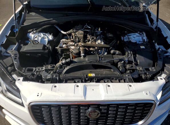 SADCJ2EX7NA692114 2022 JAGUAR F-PACE White Widok naklejki z numerem VIN