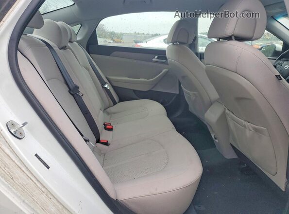 5NPE24AF8GH353044 2016 HYUNDAI SONATA Белый Вид задней части салона