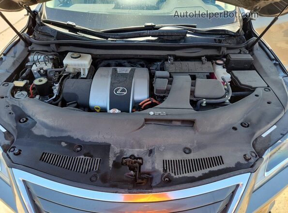 2T2BGMCA7HC016404 2017 LEXUS RX Silver VIN sticker view
