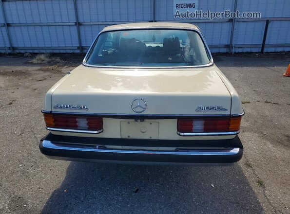 12315012003299 1979 MERCEDES-BENZ 300 Beige Вид ззаду