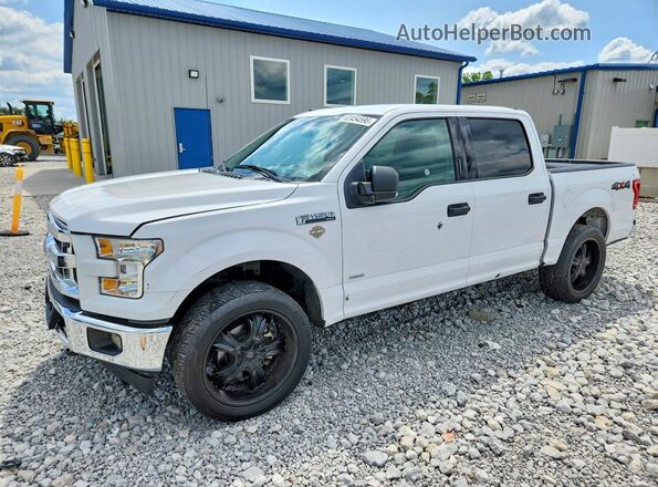 1FTEW1EG6HKE39753 2017 FORD F150 White უკანა მარცხენა