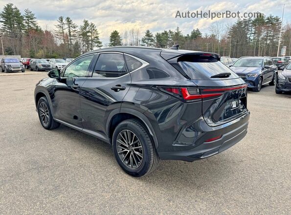 JTJADCAZ5N2001984 2022 LEXUS NX Черный Задняя правая четверть