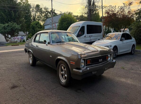 XXXX1Y27H4W142140 1974 CHEVROLET NOVA Серый Задняя левая четверть