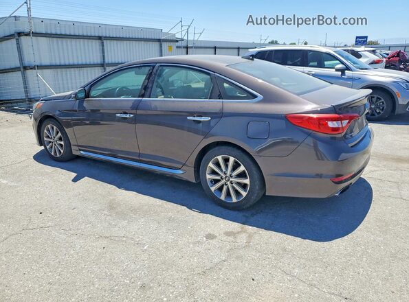 5NPE34AF4GH431302 2016 HYUNDAI SONATA Gray Rear right