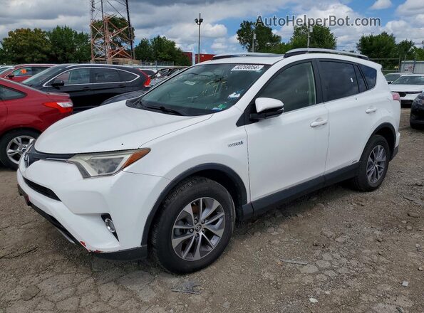 JTMRJREV2GD033095 2016 TOYOTA RAV4 White Trasero izquierdo