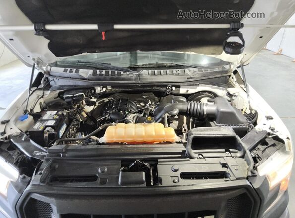 1FTMF1C85HKD20339 2017 FORD F150 White 