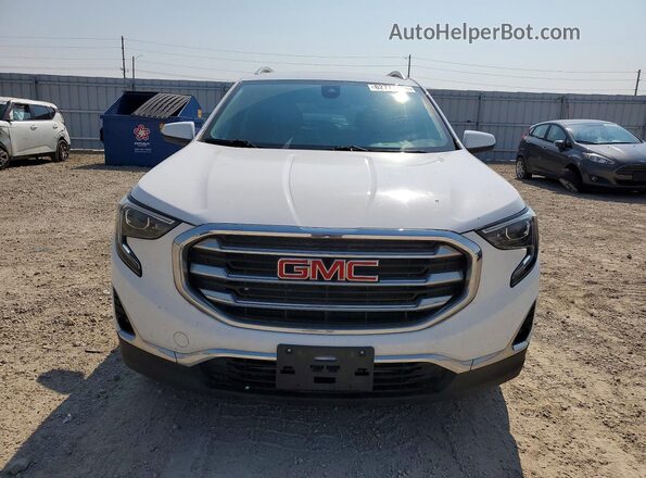 3GKALVEV4LL106833 2020 GMC TERRAIN White Widok z tyłu