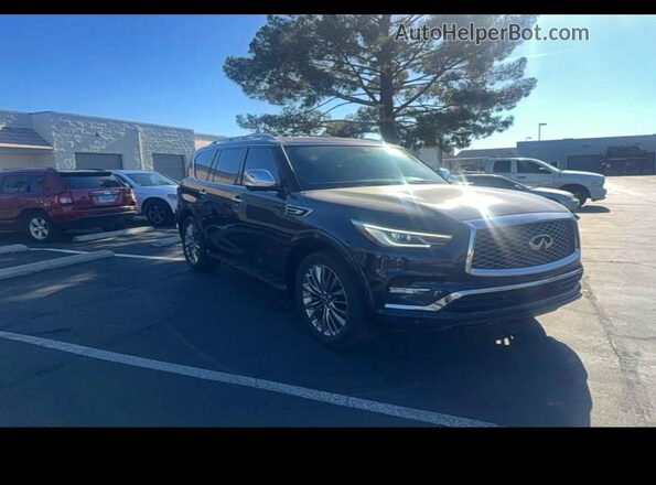 JN8AZ2NF8K9685855 2019 INFINITI QX80 Blue Задня ліва чверть