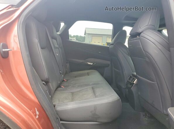 2T2BAMCA2RC042833 2024 LEXUS RX Brown Սալոնի հետևի տեսք