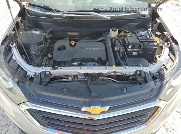 2GNAXHEV7K6195499 2019 CHEVROLET EQUINOX Silver VIN կոդի պիտակի տեսք