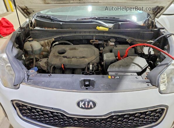 KNDPMCAC1H7035212 2017 KIA SPORTAGE White VIN կոդի պիտակի տեսք