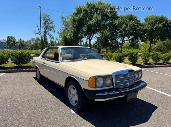 12305312008767 1978 MERCEDES-BENZ 280-CLASS Cream Tył lewy