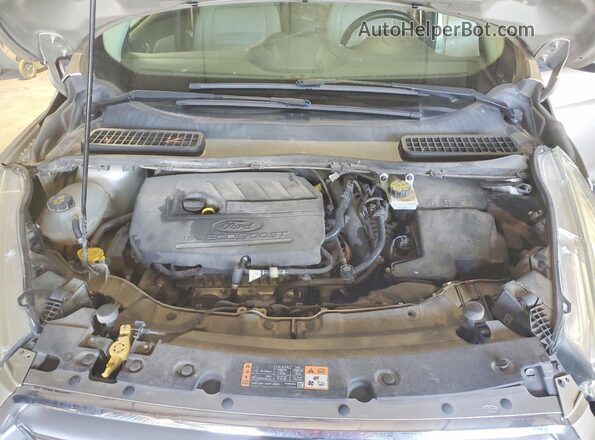 1FMCU9JD7HUF07629 2017 FORD ESCAPE Beige Vista de la etiqueta del VIN