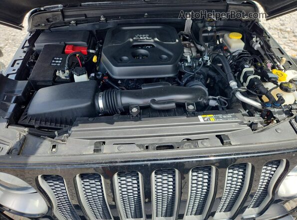 1C4HJXEN8LW214149 2020 JEEP WRANGLER Black VIN կոդի պիտակի տեսք