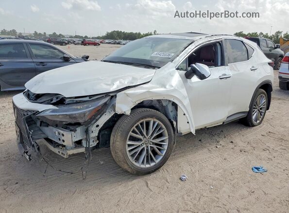 JTJGKCEZ3S2049909 2025 LEXUS NX White Задня ліва чверть