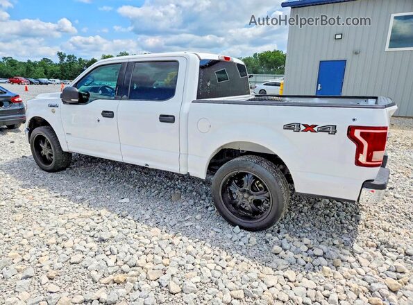 1FTEW1EG6HKE39753 2017 FORD F150 White უკანა მარჯვენა