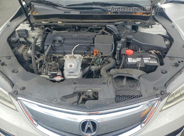 19UUB1F31GA005068 2016 ACURA TLX White უკანა სალონის ხედი