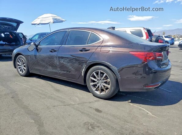19UUB1F31HA010384 2017 ACURA TLX Brown Rear left